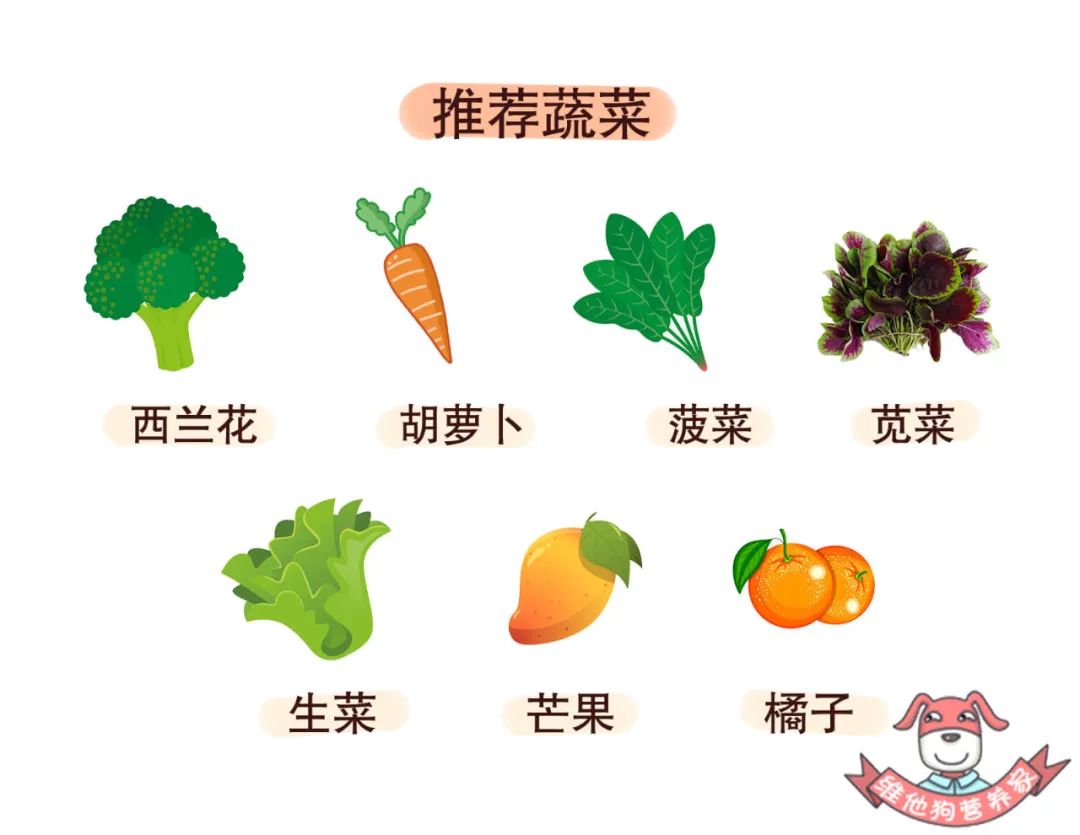 老是拉肚子放臭屁是怎么回事,最近老是拉肚子放臭屁是怎么回事