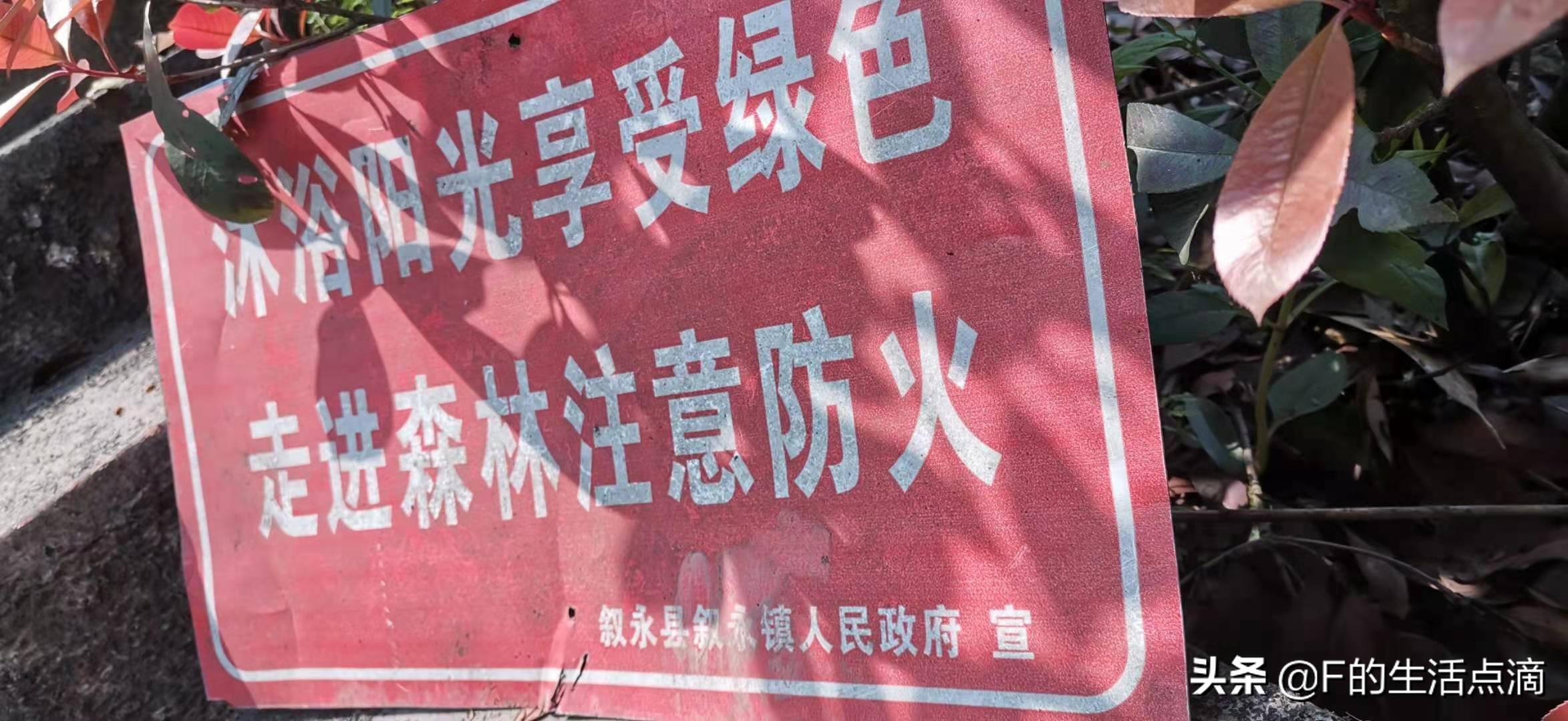 四川泸州是个什么样的地方,四川泸州环境最好的县城