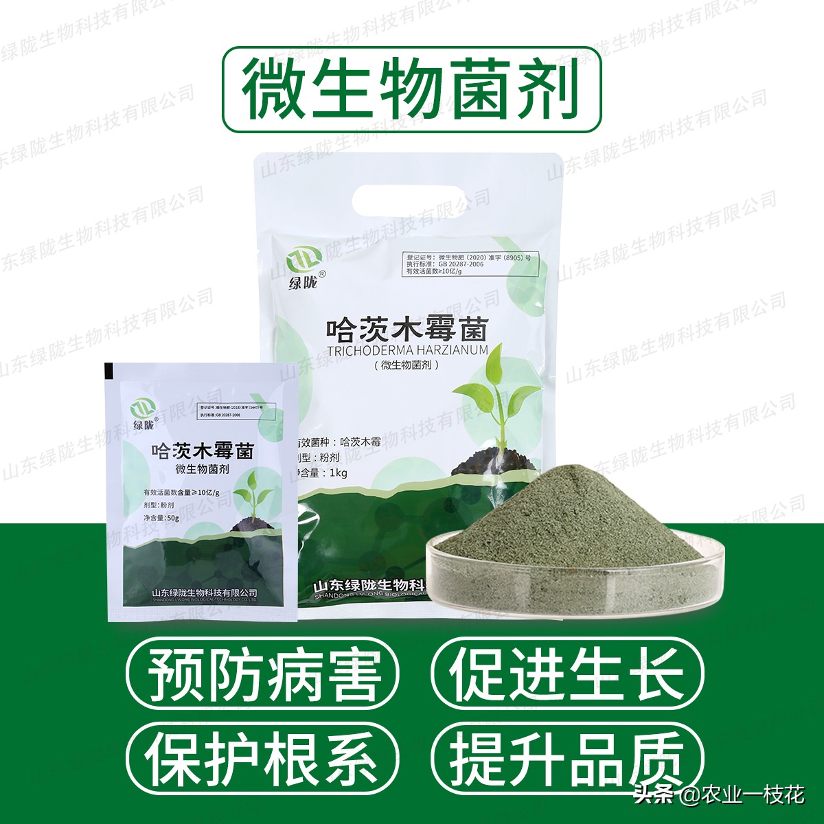 辣椒猝倒病属于真菌还是细菌,辣椒猝倒病危害大