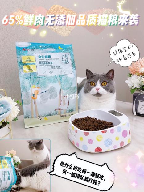 小红书推荐猫粮,猫粮小红书达人