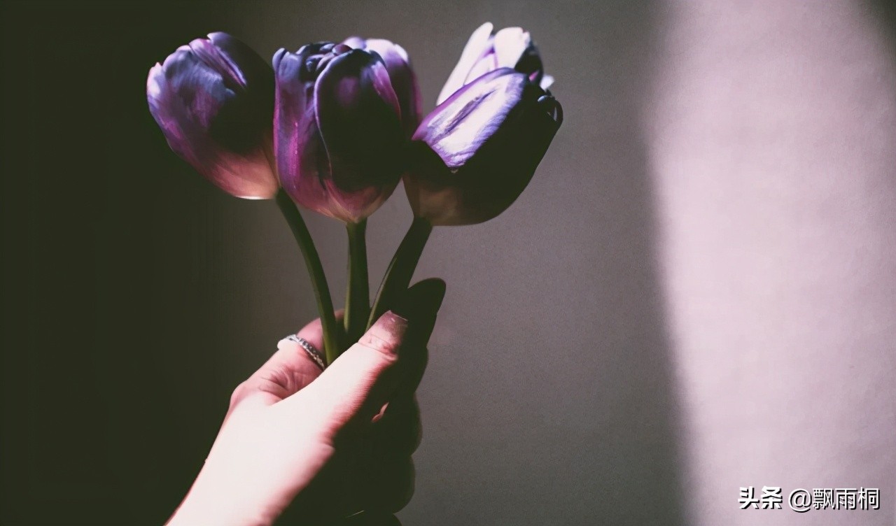 聪明媳妇是怎样跟婆婆搞好关系,怎么跟婆婆相处才好呢