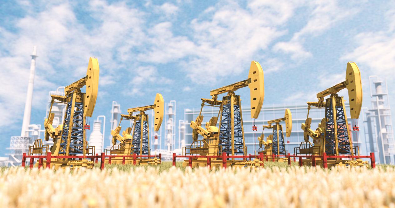 科威特国土人口2022,科威特人口2020总人数