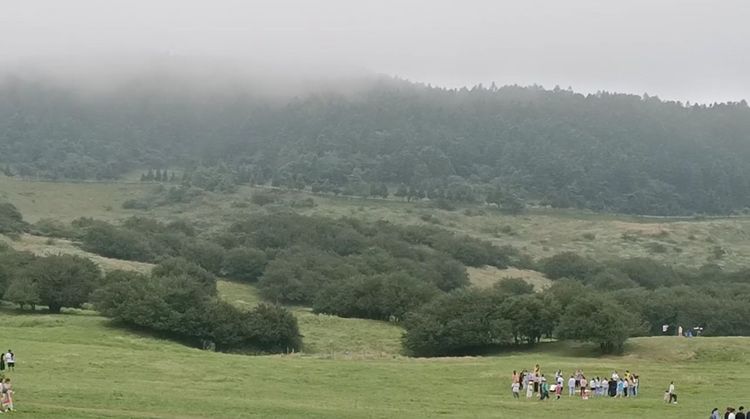 大美武隆仙女山,畅游重庆武隆区仙女山