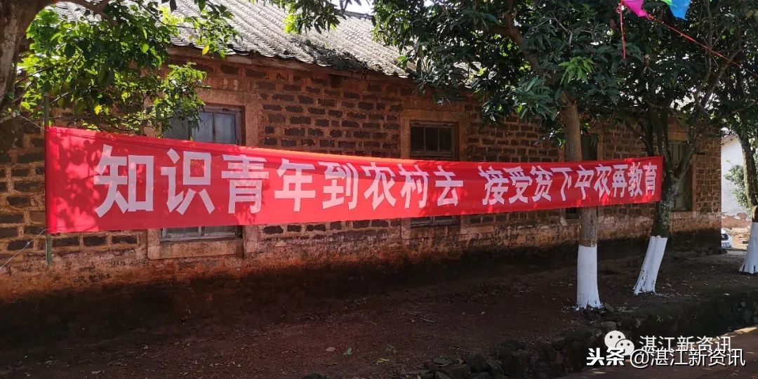 知青下乡49周年纪念活动,纪念知青下乡50周年图片图文