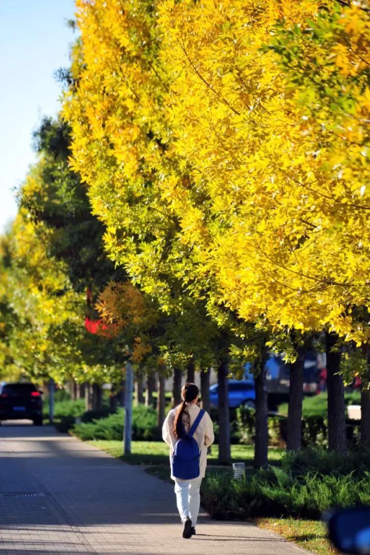 天津普通本科的大学,天津普通高校多少所大学
