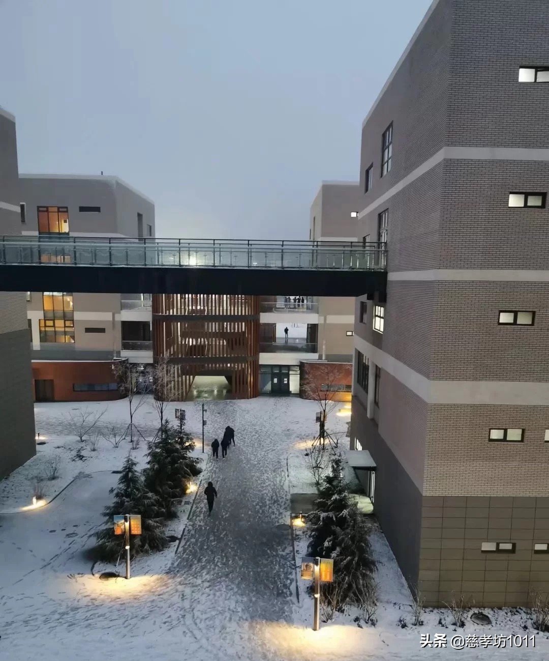 我的大学时光英语,在青岛科技大学读书什么感觉