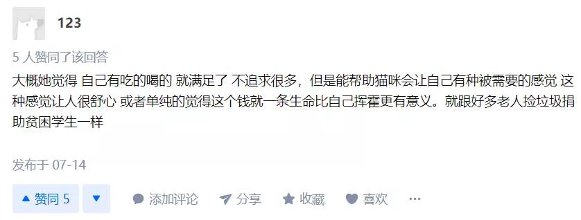 救助流浪猫的都是哪些人,救助了流浪猫没出钱被骂了