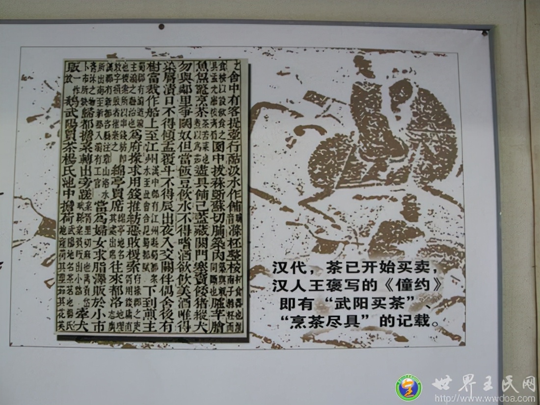 悲壮且辉煌的四川茶简史