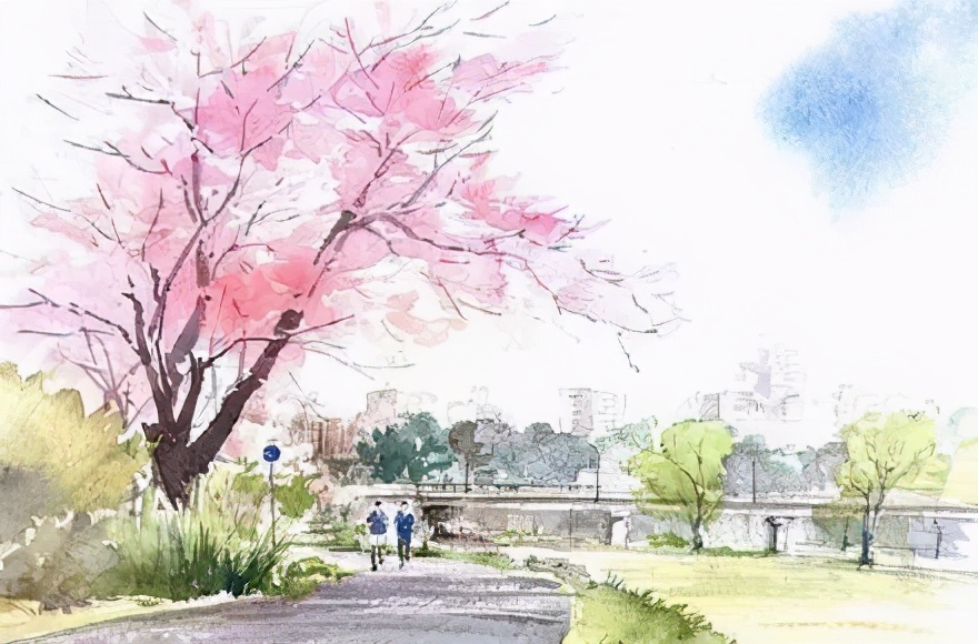 美丽的水彩樱花,水彩樱花风景画乡村田园