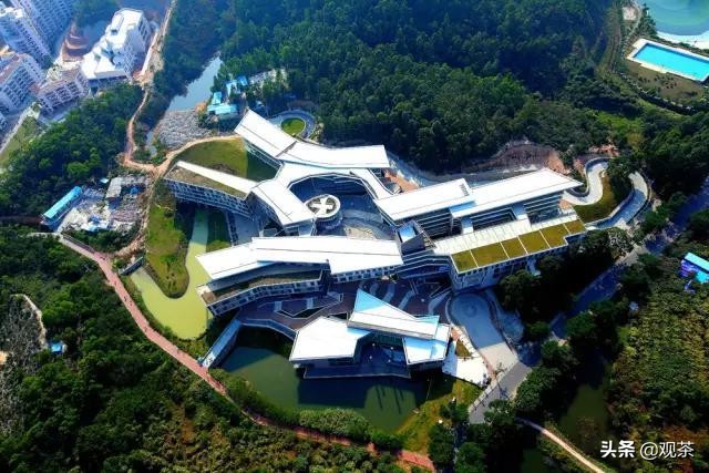 2020年后,为什么选择去珠海(教育篇)