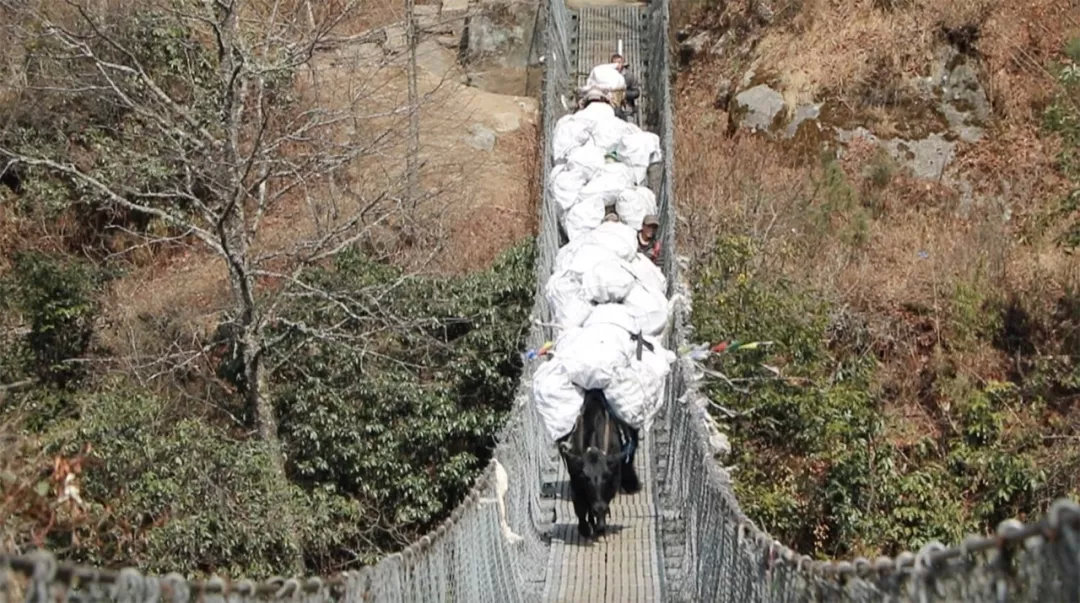 珠峰垃圾山现状,珠峰垃圾成堆视频