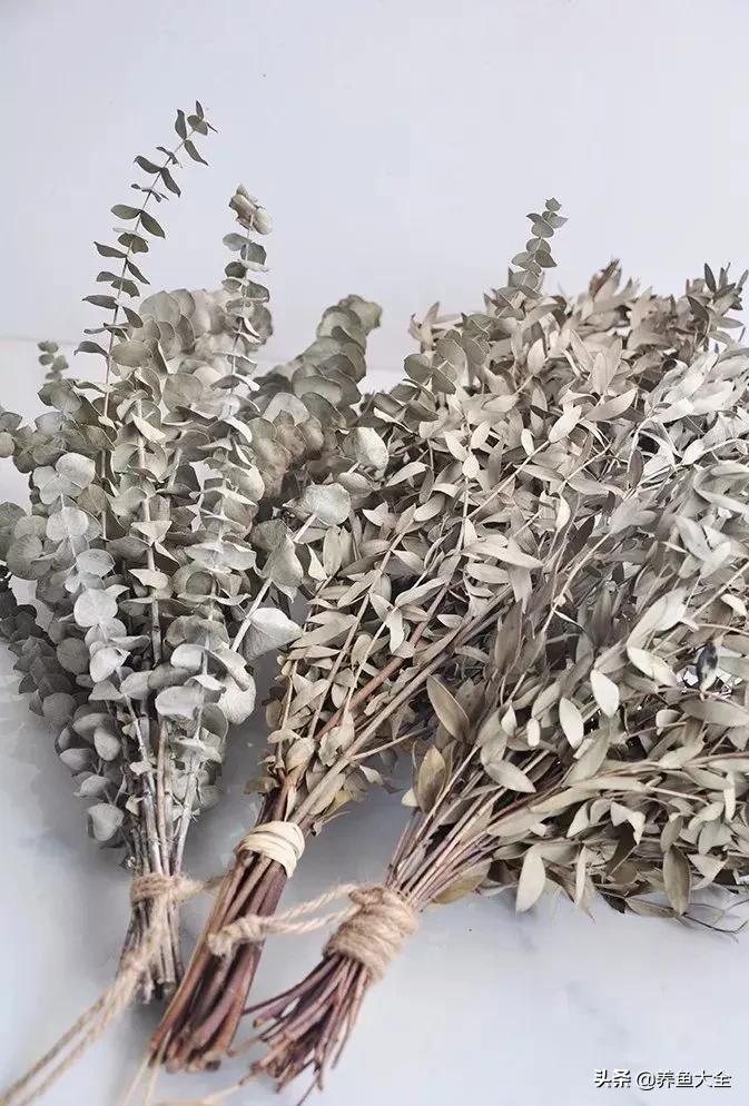 8种能做干花的鲜花，男朋友送的花就这么做