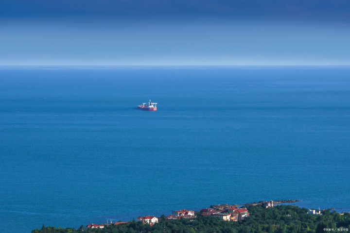 外贸进出口行业专业术语,国际进出口贸易代理常见问题