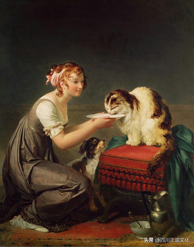 猫的故事高清图片,盘点猫的曾经故事