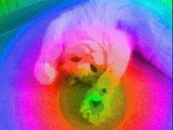 2019最in流行色你猜对了么,听说2020年的流行色是经典蓝色