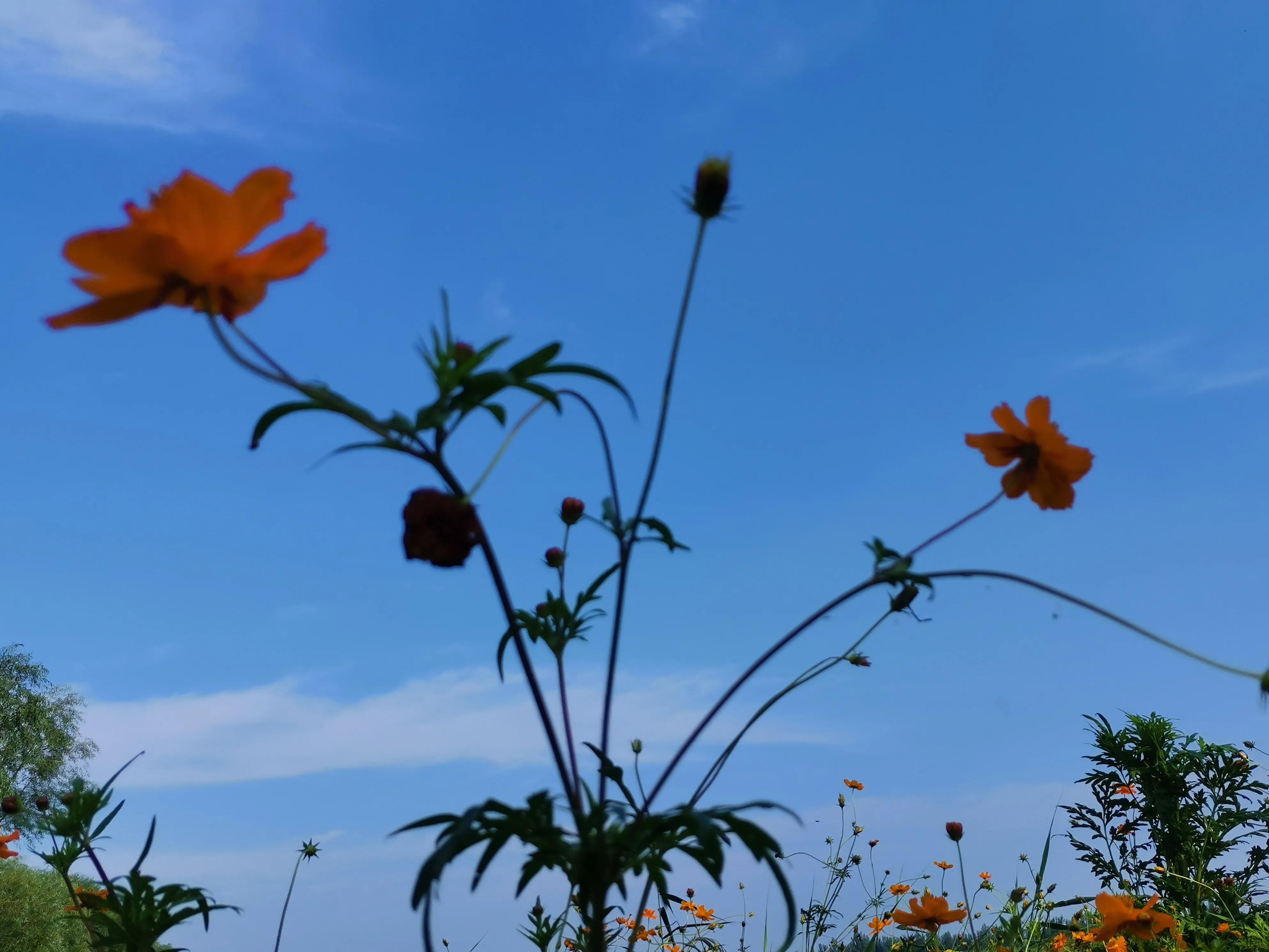 腿受伤躺久了腰疼如何缓解,腿伤卧床