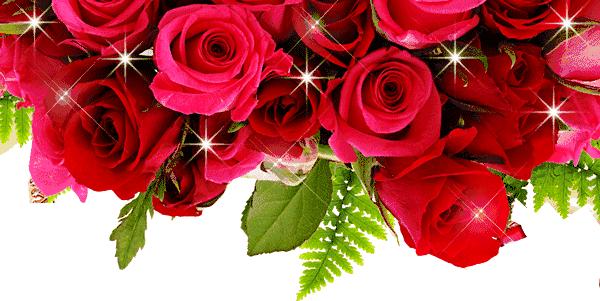 春分节气早安祝福,今日春分早安心语