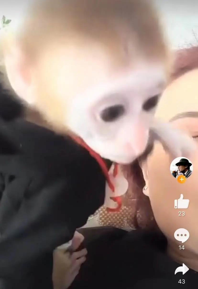 警惕！那些你刷上热门的萌宠视频，背后可能涉及野生动物非法交易