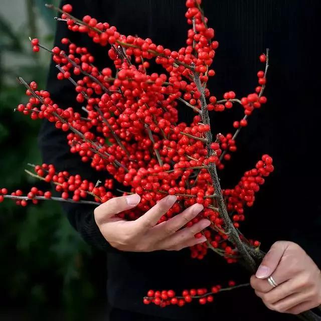 过年家里摆什么植物好,家里过年要摆几样水果