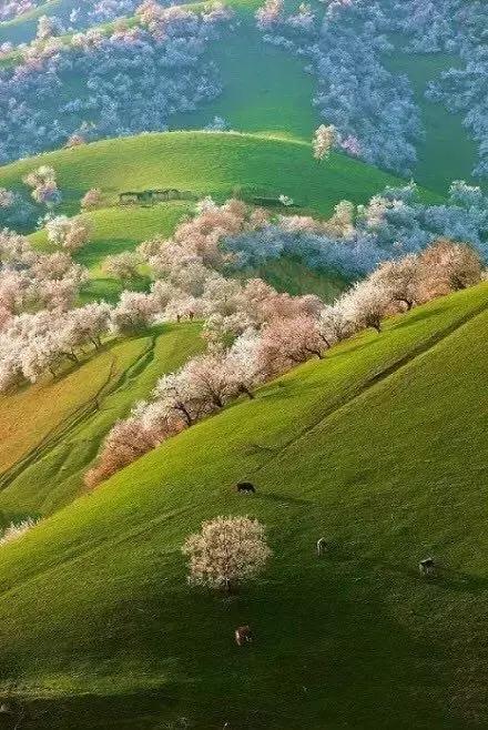 80张惊艳美图,80张风景图片大全