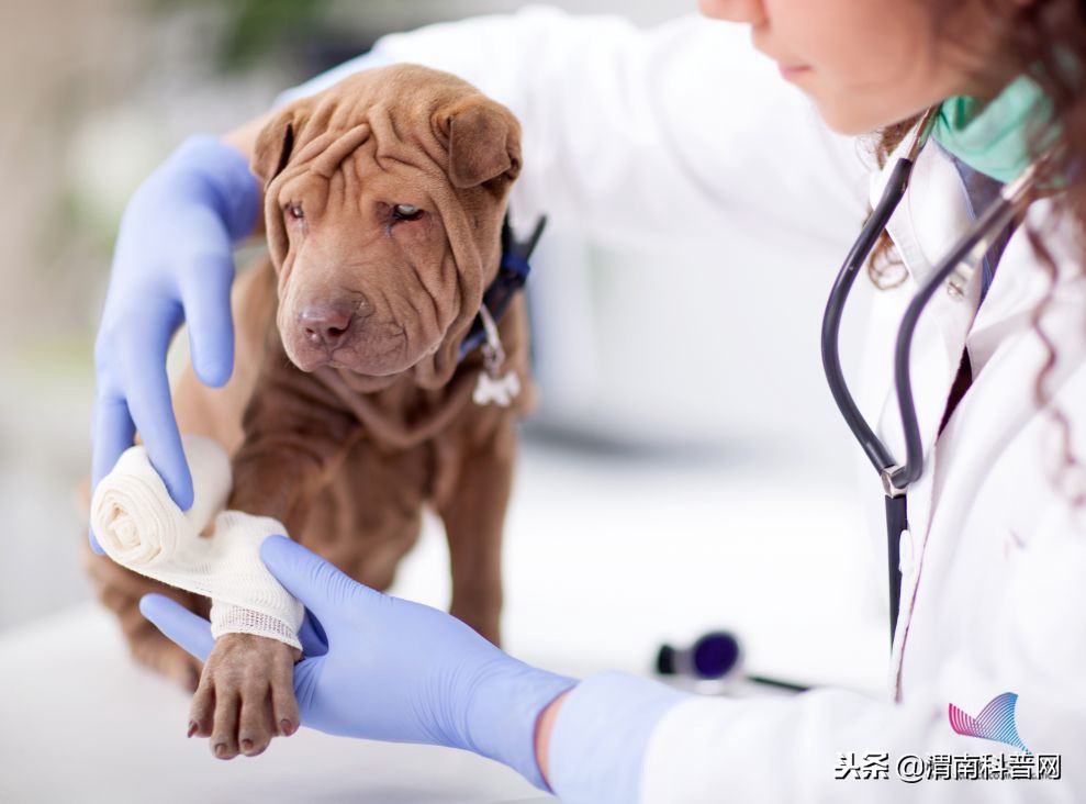 破伤风如何预防及处理,破伤风的危害和注意事项