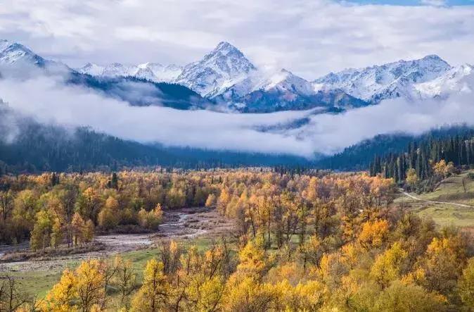 3月书单推荐经典好书,11月最值得看的10本好书