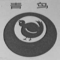 重庆老汽水,重庆最知名的汽水