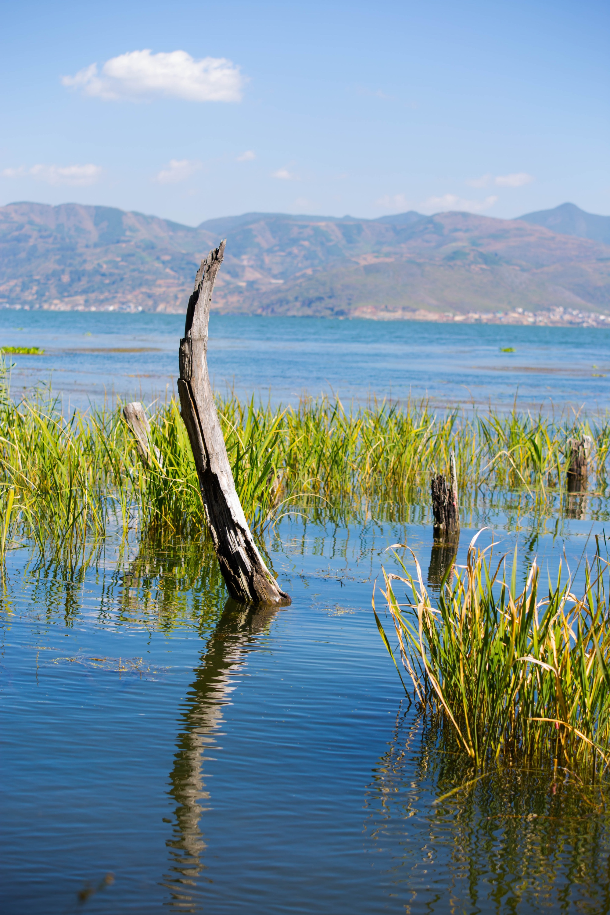 云南大理有哪些景点是值得去的呢,云南大理最适合旅游