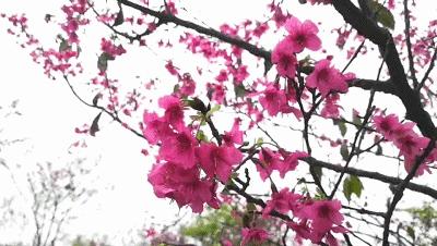 从化旅游景点排行榜前十名有哪些,广州从化旅游攻略必去十大景点