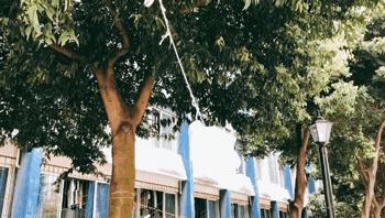 我的青春,叫电子科大成都学院!