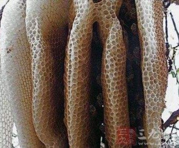 哪种物质被日本科学家称之为二十世纪最伟大的天然物质?