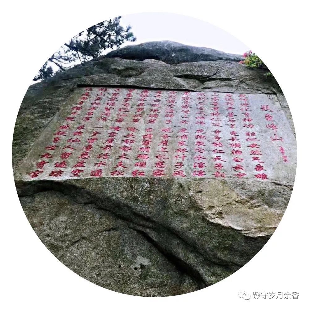 情满龟峰·诗涌花海