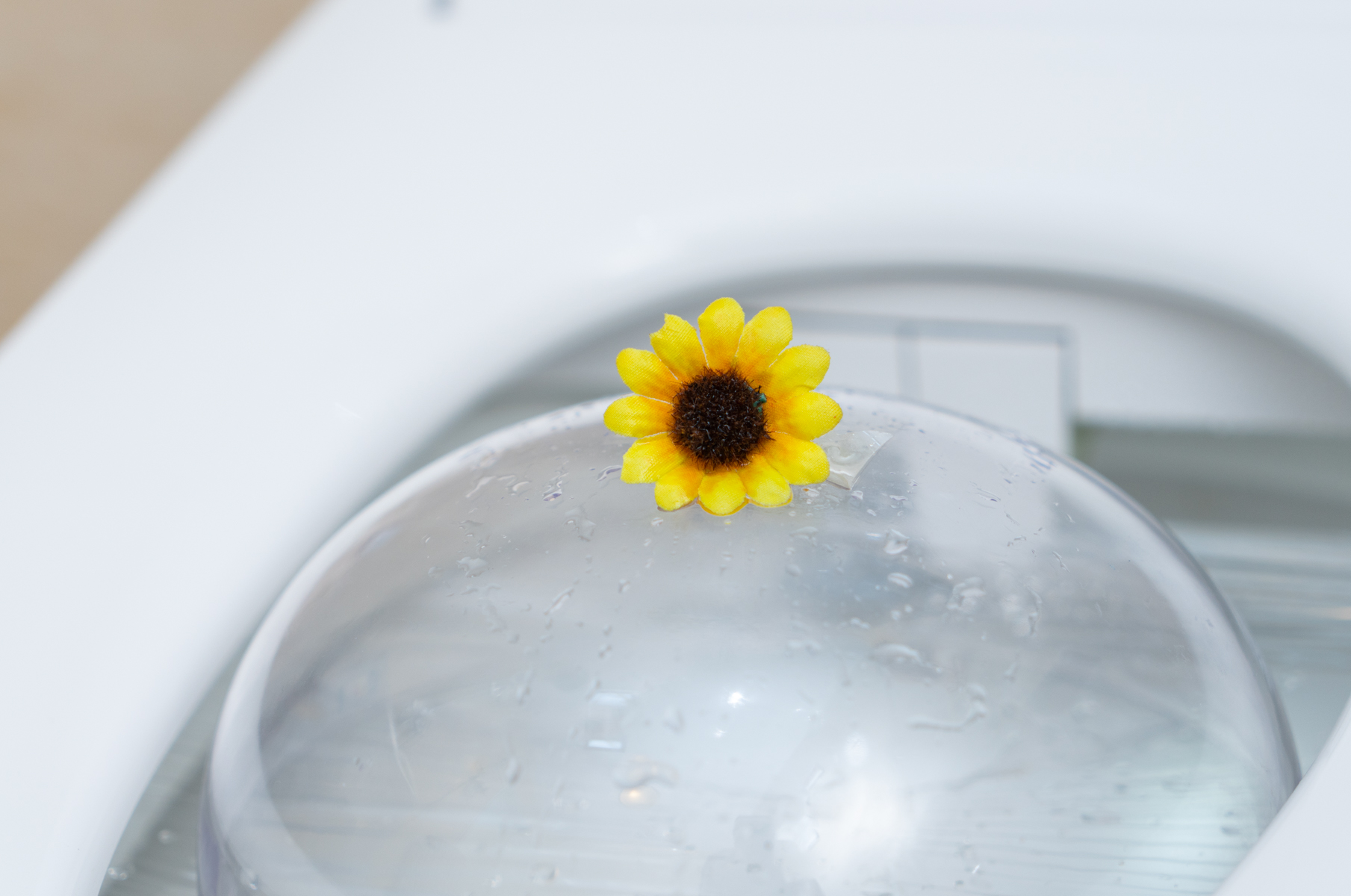 恒洁智能马桶使用后真实感受,恒洁智能马桶的正确使用方法