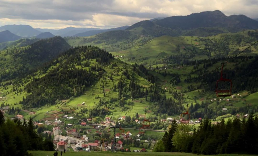 炫彩欧泊,炫彩欧泊灰