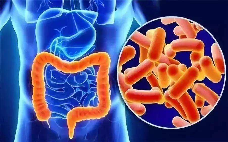 肠道菌群与癌症的最新研究,肠道菌群与癌症的关系