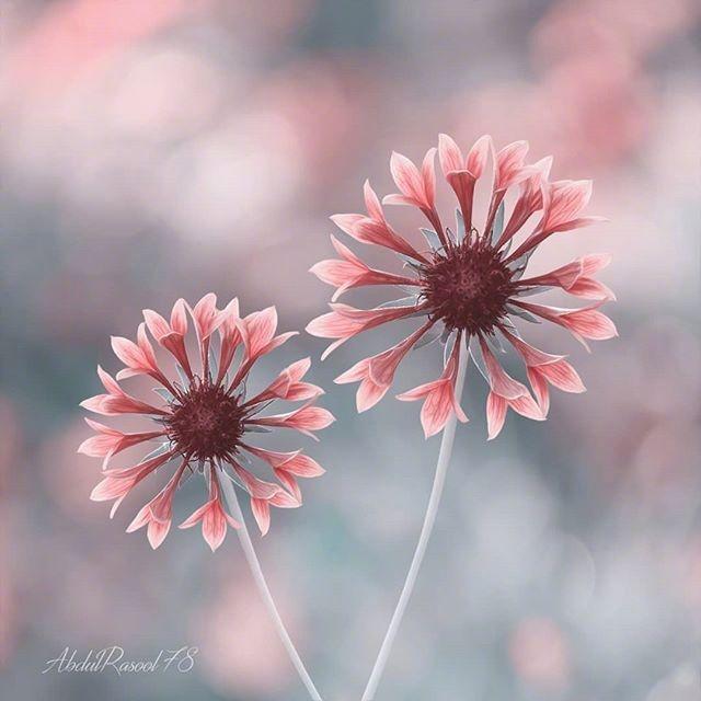 100句鼓舞人心的经典励志名言语句,十句激励人心的人生格言