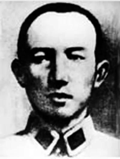 五四青年节向青年榜样致敬征文,青年对标榜样怎么做