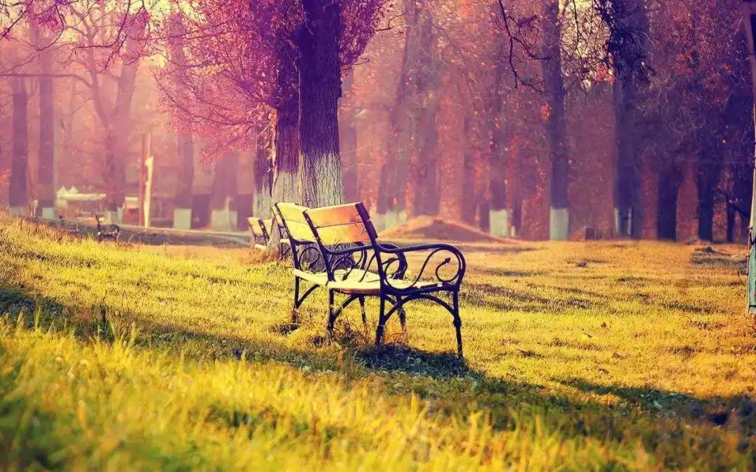 年度十佳微小说看完久久难以忘怀,年度十佳微小说的主题