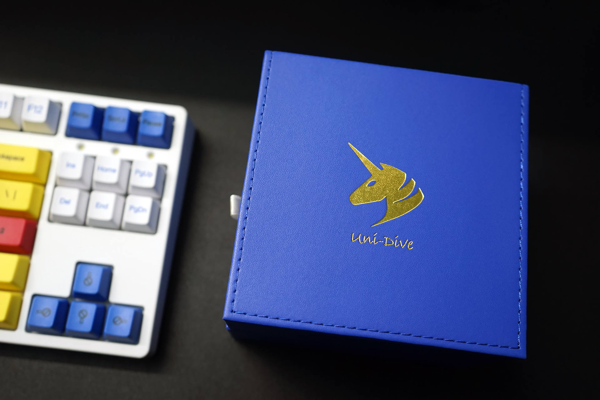 买modely的理由,proxima独角兽