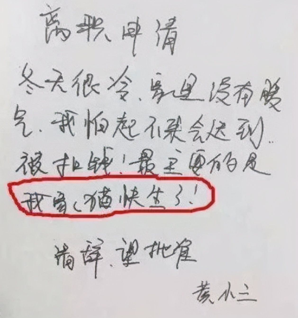 毕业生的“辞职信”有多任性,控诉老板不算啥,继承家业是真的?