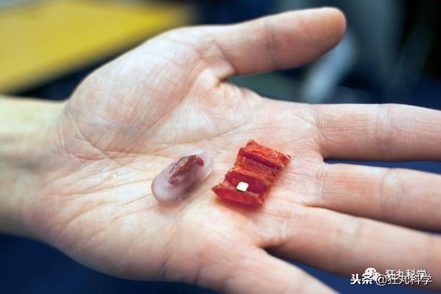 折纸大神的所有折纸,折纸大神教折纸