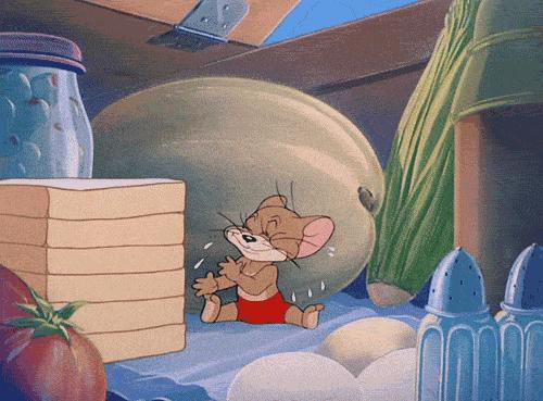 动物界的顶流,动物界熊猫顶流