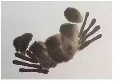 浓墨画螃蟹,浓墨淡点绘画作品欣赏