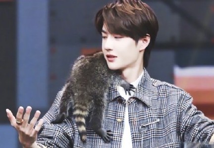 王一博有什么吸引人的,别人眼中的王一博是什么样的