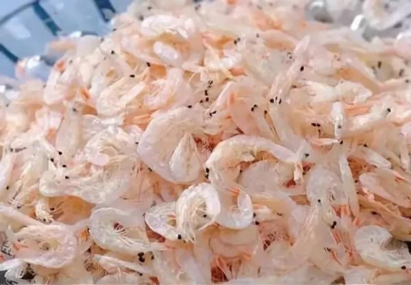 外地亲家来连云港送什么特产呢,外地人回连云港必买的特产