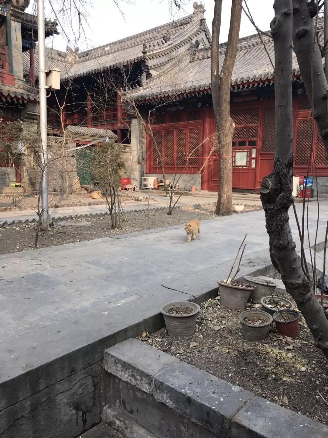 牛街法源寺胡同,牛街的法源寺怎么走