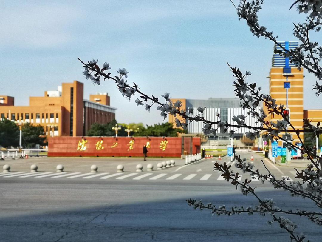 人才缺口上百万！人民网发文“点名”！今年，东北这个专业“火了”！