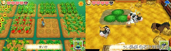 星露谷牧场物语哪个好玩,星露谷和牧场物语不一样的地方