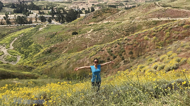 加州野花,加州野花的视频