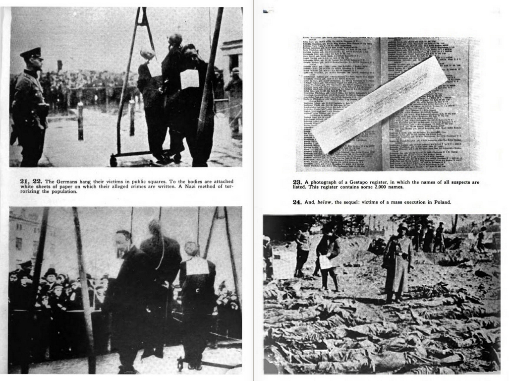 劣等的臣民-波兰人为何痛恨纳粹德国?